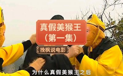 ​真假美猴王是第几集（版本不同集数不一）