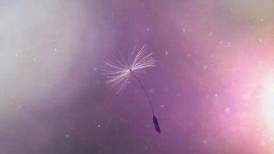 ​有趣的回文联大全，最简单回文对联大全30条