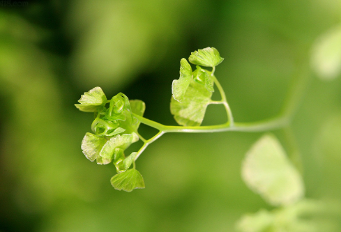 1692906744956596.png image.png