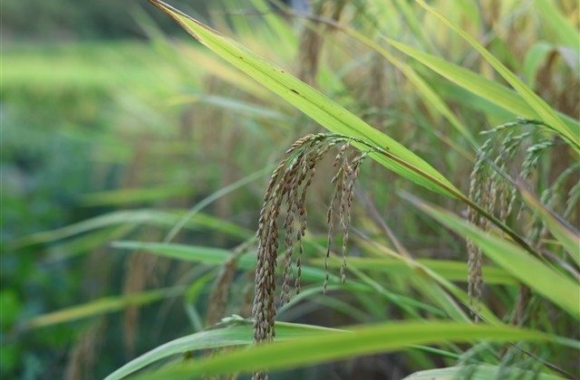 古风意境带符号名字 古风意境带符号名字