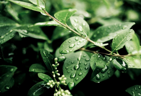 1692906081128419.png image.png