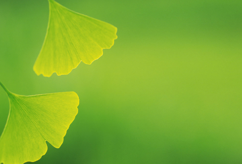 1692905915137026.png image.png