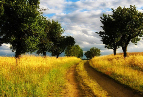 1692905750104481.png image.png