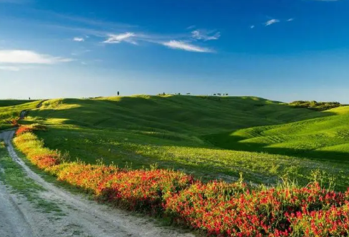 1692905583389007.png image.png