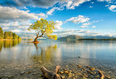 ​一听就想笑的趣味网名(优选118个)