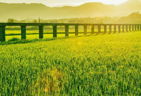 1692905086125101.png image.png