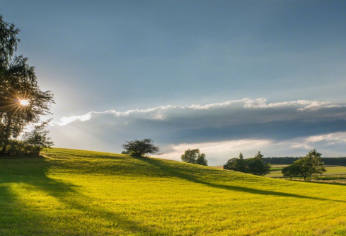 1692904755194331.png image.png