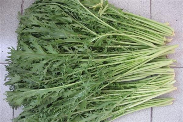 雪里红可以不腌制吃吗 雪里红和梅干菜有什么区别