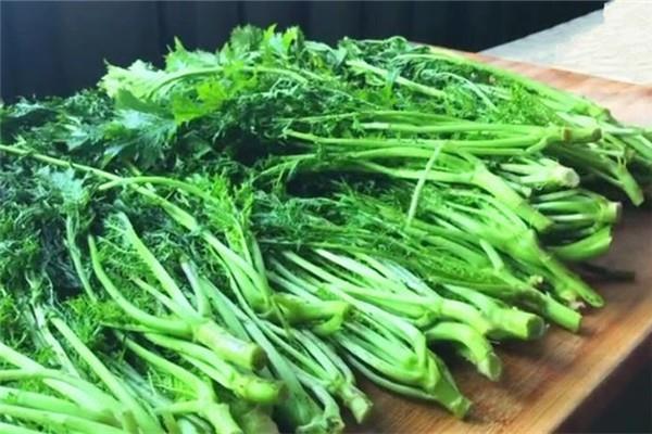 雪里红可以不腌制吃吗 雪里红和梅干菜有什么区别