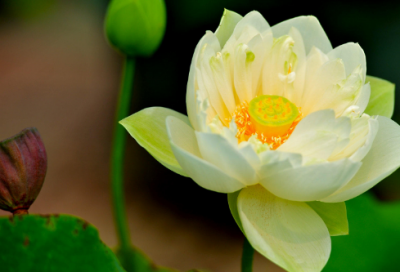 ​带符号的网名400个