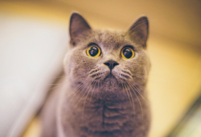 ​2026年男孩名字取名639个