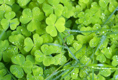 ​聚财的烟酒店名字(精选96个)