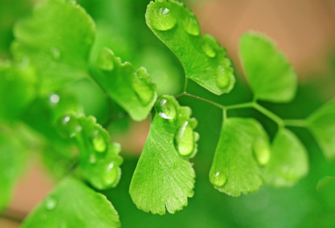 1692907075837828.png image.png