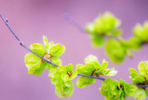 1692907572128652.png image.png