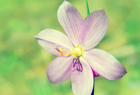 1692907903769752.png image.png