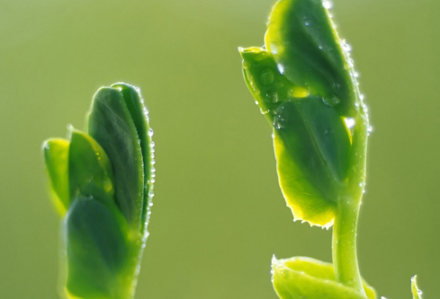 1692908069106632.png image.png