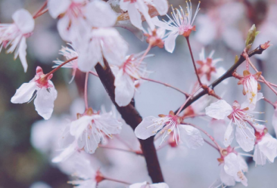 ​老夫子有趣的网名(精选98个)