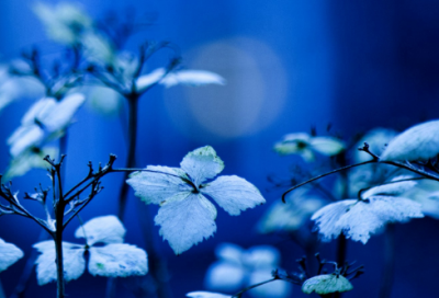 ​我姓田的专属网名(共109个)