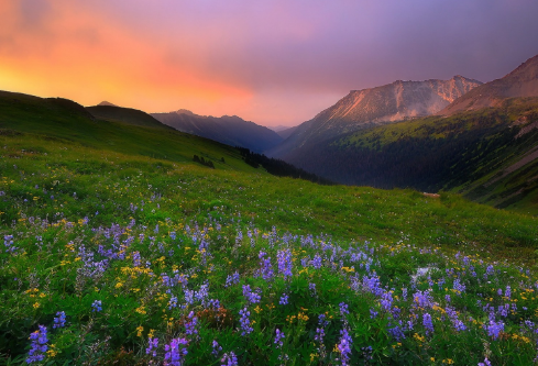 1692908566115712.png image.png