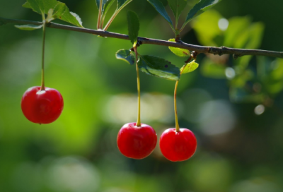 ​四人吃鸡骚气的名字(精选103个)