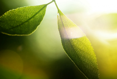 ​台球厅创意好听的名字 洋气的台球室名字