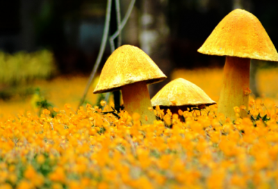 ​姓董的洋气一点的名字