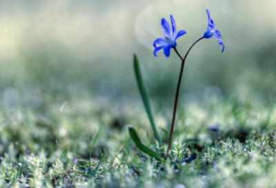 ​qq飞车车队名字(86个)