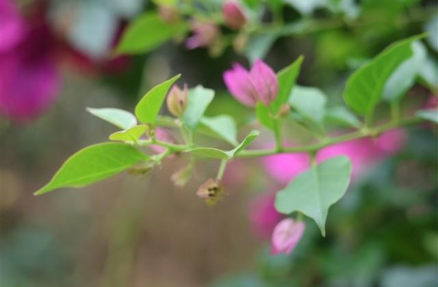 2024独特霸气网名(89个) 2024独特霸气网名(89个)