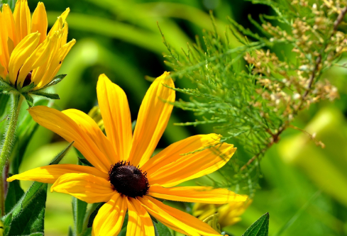 1692909561312754.png image.png