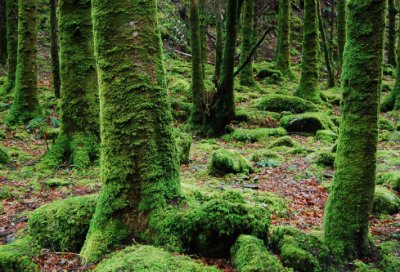 ​心冷了人累了的网名看着想哭(117个)
