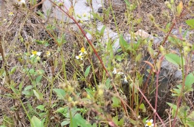 ​这个夏天一定要用的闺蜜网名(92个)