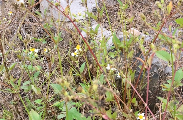 这个夏天一定要用的闺蜜网名(92个) 这个夏天一定要用的闺蜜网名(92个)
