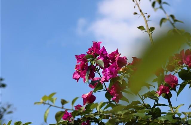 朋友圈说说人生哲理的短句(精选65句) 朋友圈说说人生哲理的短句(精选65句)