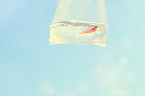 描写外貌的优美段落28句