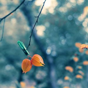 ​写给宝宝的话暖心的话