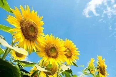 ​半生已过，幡然醒悟，写给中年的自己