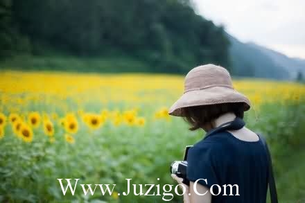 小动物的比喻句60句