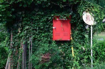 ​高考暖心一段话经典祝福语(精选101句)