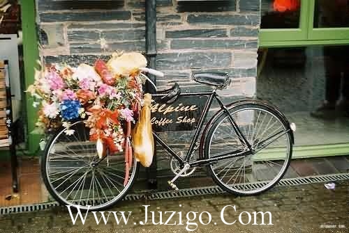 小寒时节的问候语 小寒的问候语(精选27句)