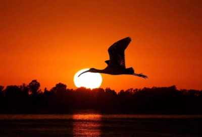 ​古往今来关于简单描写颜色的好句子