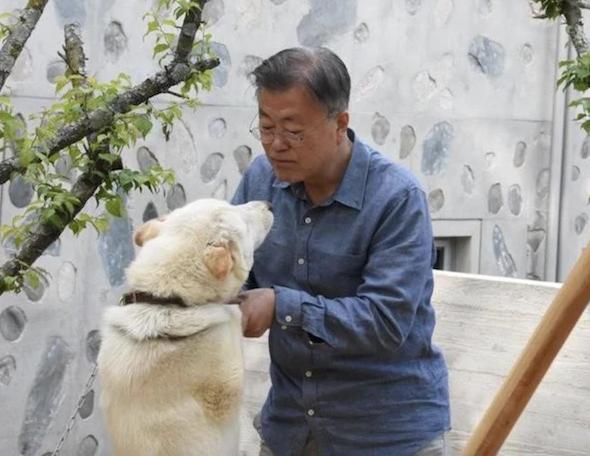 文在寅勾肩搭背（文在寅退休生活）(14)