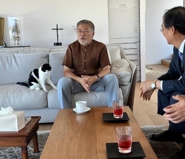 文在寅勾肩搭背（文在寅退休生活）(17)