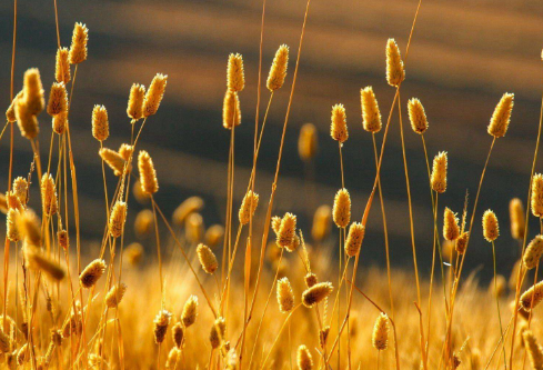 1686539079105823.png image.png