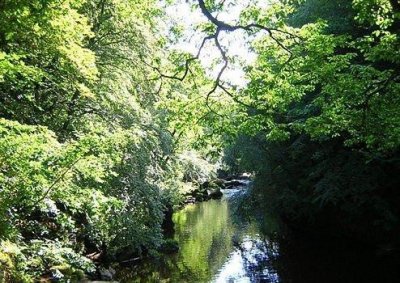 ​失败是成功之母 抖音经典毒鸡汤负能量句子(精选48句)