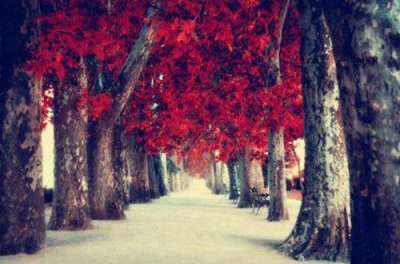 ​我知道痛苦的背后总会有好时光 内心烦躁来自对自己无能的句子