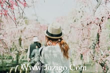 感恩的句子精选