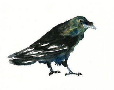 ​孝顺父母的经典句子简短推荐56句