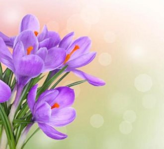 ​那些温暖而美好的句子(美好温暖的句子)