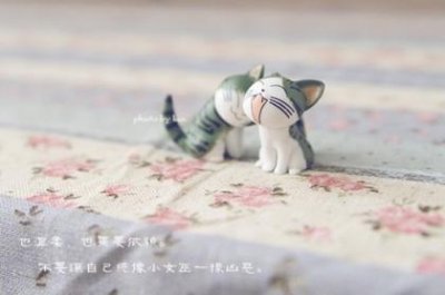 ​积极向上的句子优美