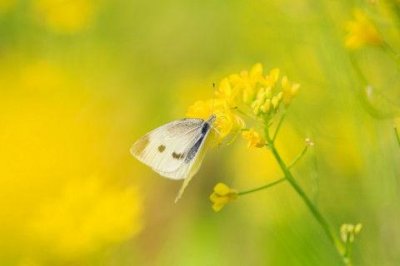 ​经典形容心痛的句子47条